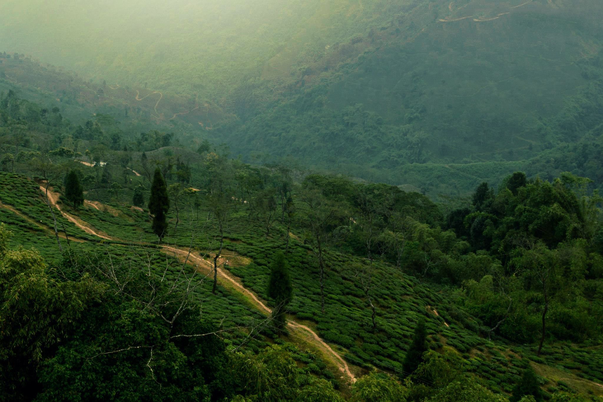 Assam Meghalaya 4