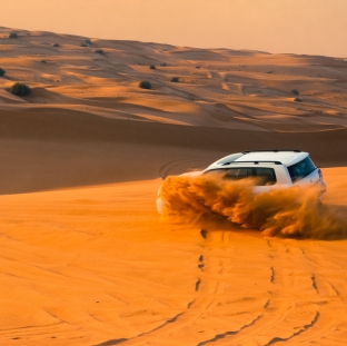 Desert Safari