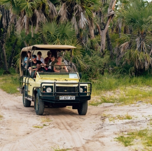 Jeep Safari