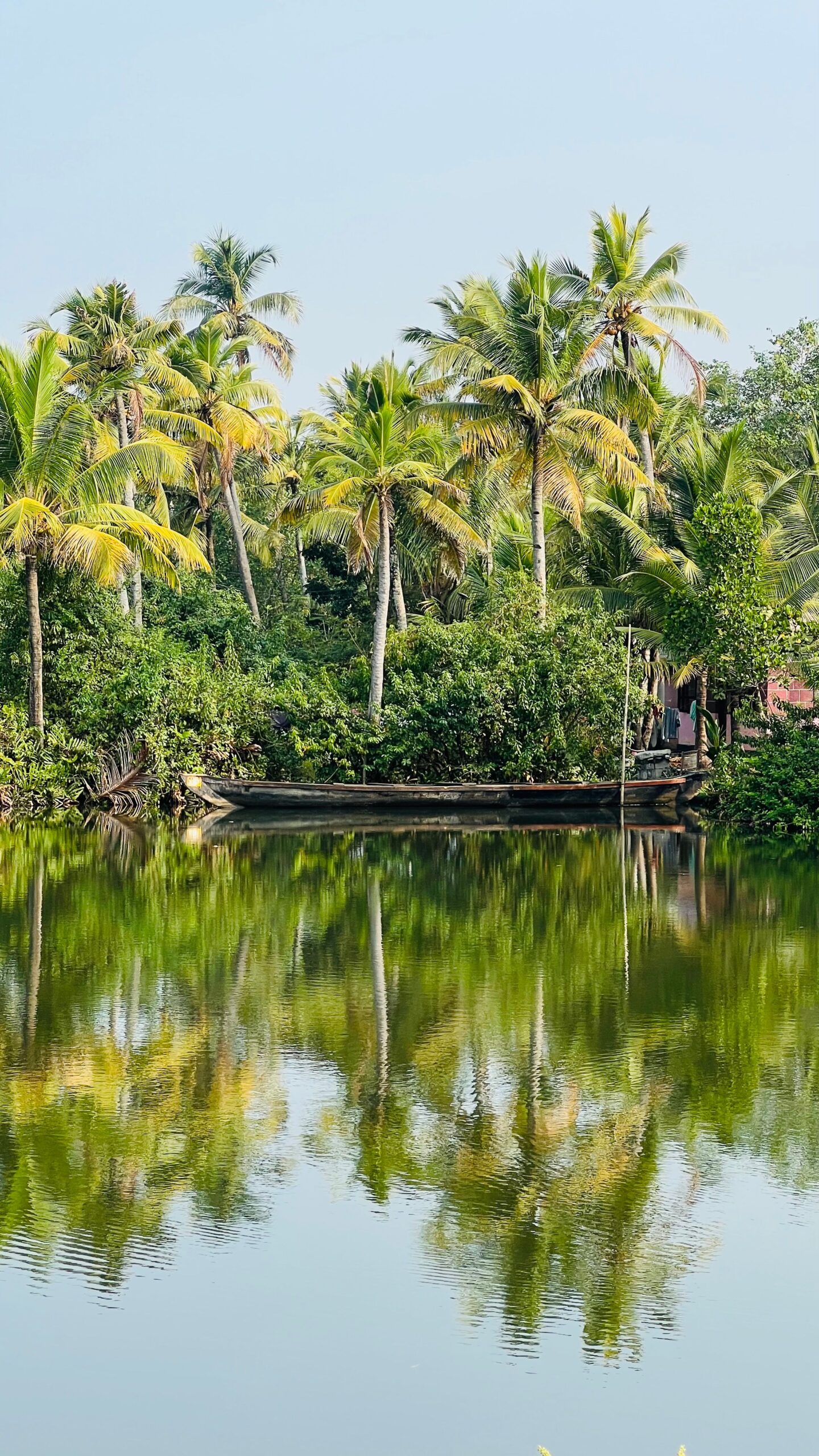 South India 1 scaled